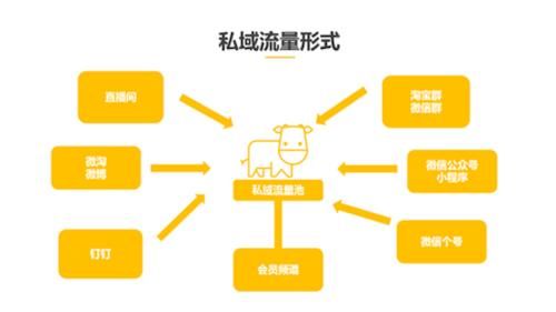  【套路】深扒从雀巢、可乐手里抢蛋糕的爆品们，我发现了这些套路