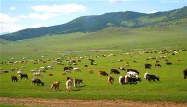 外蒙古从中国分离出去以后，现今怎么样呢？穷得只剩下美女了