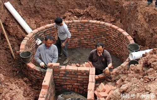  [停工]停工令后农民要失业了? 国家准备了5大赚钱的项目, 农民不