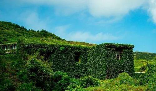 一旦去了这些地方，其他就都成了将就！