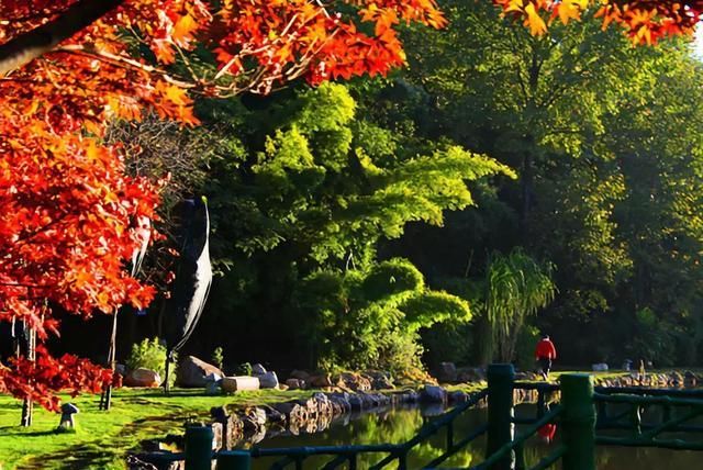 石泸高速红河段通车试运行,这些沿途美景不要错过啦