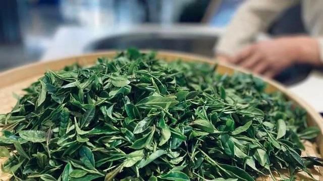  藏马山■全球瞩目丨青岛佳诺华国际医养健康小镇产业展厅启幕仪式圆满落幕