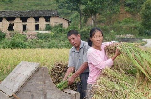  「农民朋友」未来10年农民的生活会怎么样？越来越好，还是越来