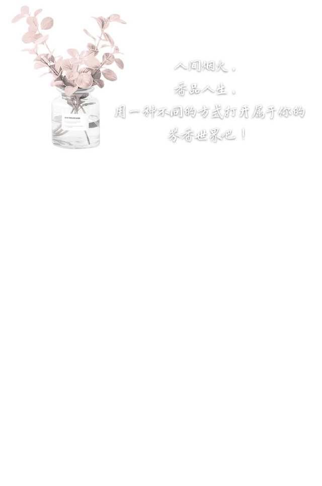  [功效]贴心小侍卫—薄荷