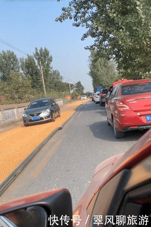  「玉米」河南焦作：村民公路铺满玉米，行驶车辆不断通过，快碾