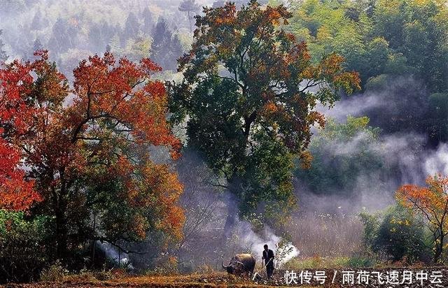 安徽旅游探秘九子岩 塔川秋色 木坑竹海 秋游新安江山水画廊3日自