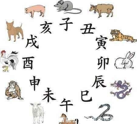  老人|2020年是双春年，农村老人常说“鼠年难逢双春年”，有何说