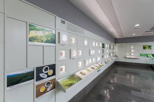 西湖最冷门的旅游路线，人少景美，一般人都不知道