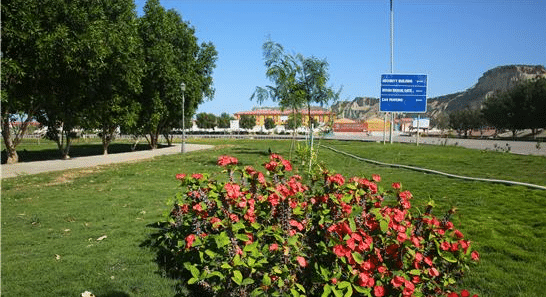 中国助力巴基斯坦，这个港口从沙漠“蜕变”绿洲，巴铁：中国真牛