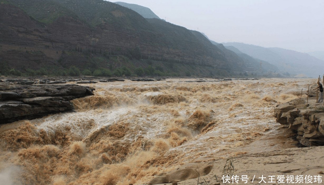 黄河之水那么浑浊，却有大量的鲤鱼生存原因很简单
