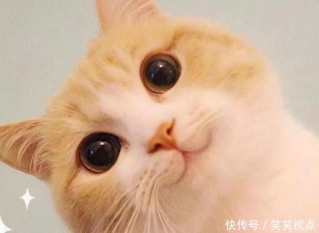  『中宋』迷人计丨《庆余年》中宋轶比李沁还惊艳掀帘美人的白玉肌太美了！