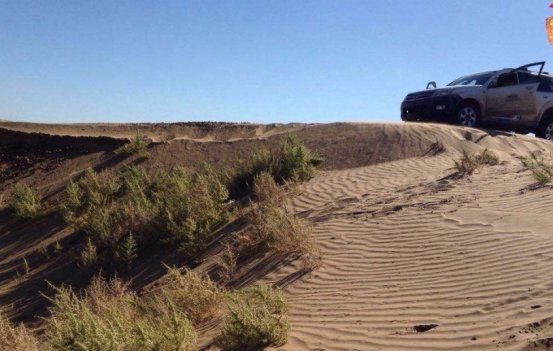 中国又再创“世界之最”，把沙漠变成绿洲，还有兔子在外奔跑！