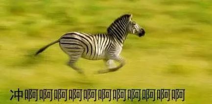 又一高铁来临沂！京沪高铁二线临沂段启动招标！直通北京上海！