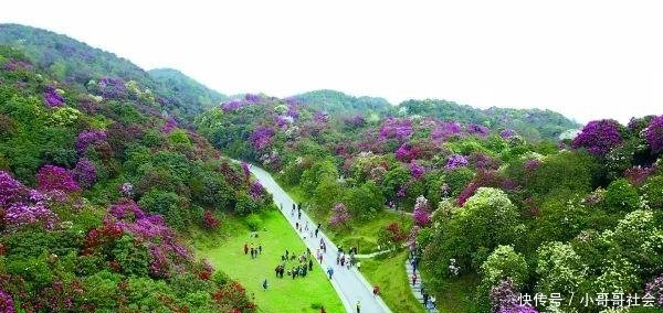 中国地级市100强排名公布, 毕节上榜!