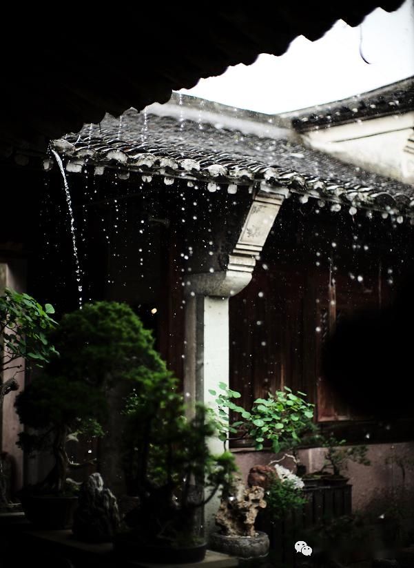 #中国#中国庭院,最是奢侈。