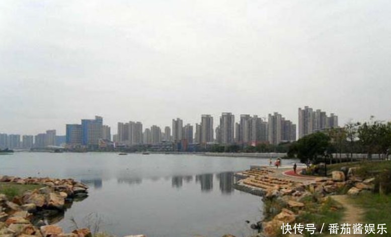  「人工湖」消失的西湖名鱼，再现公园人工湖，被当成清道夫捞起