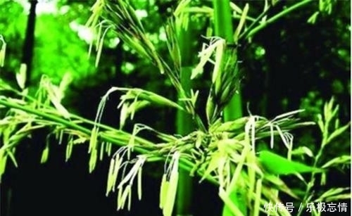  农村@在农村，老人常说：“人穷断六亲”，什么意思？