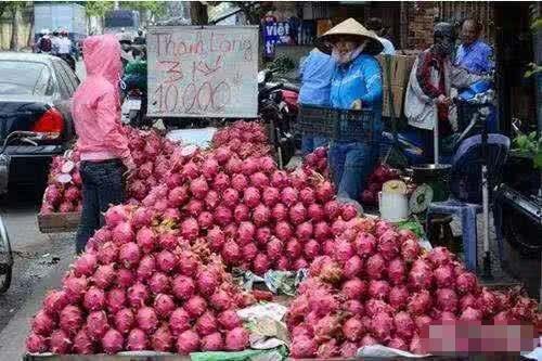 此国效仿越南，取消对中国的免签，如今却乞求中国原谅帮帮我们