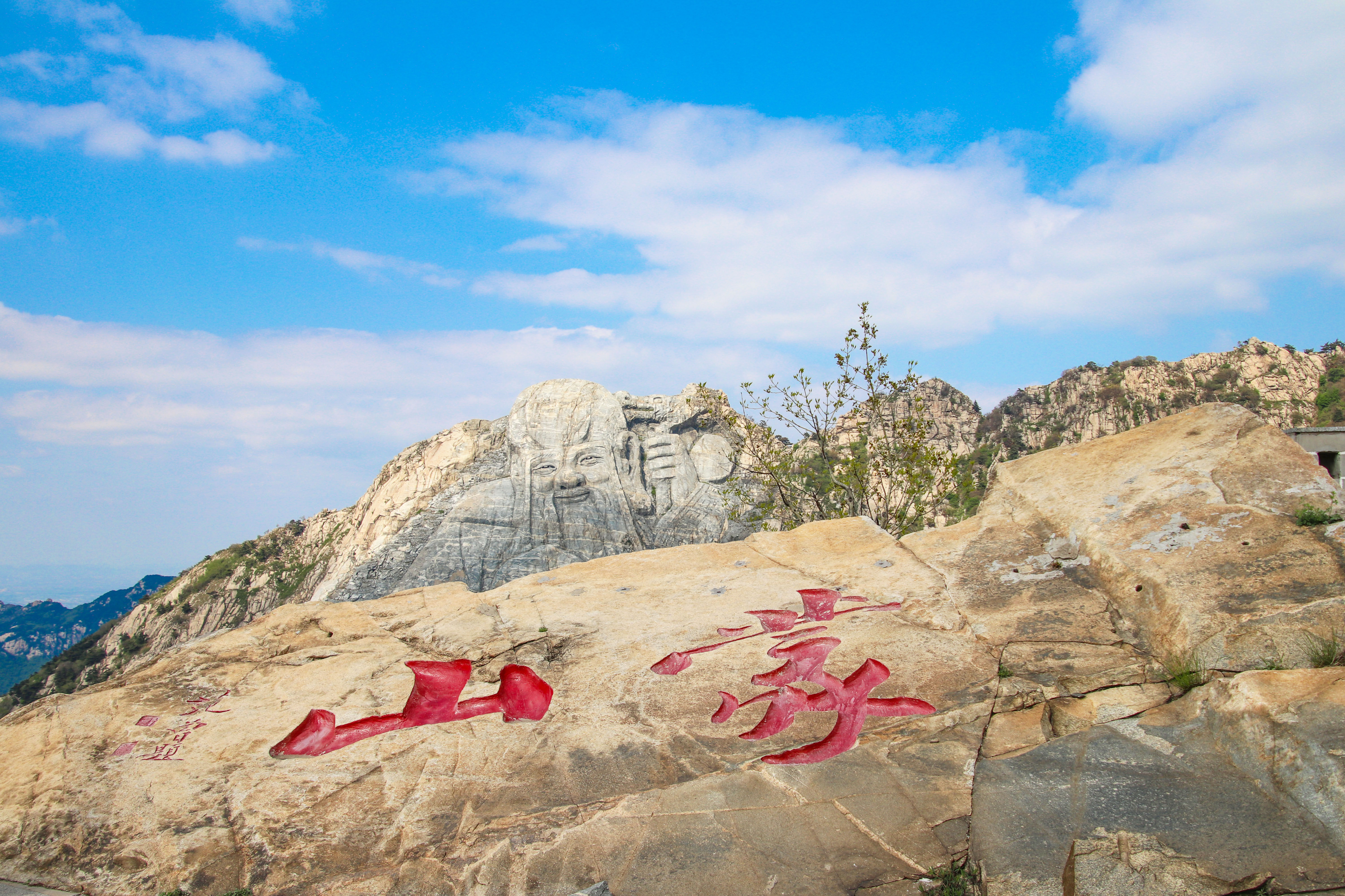 来沂蒙山，我“养”你啊