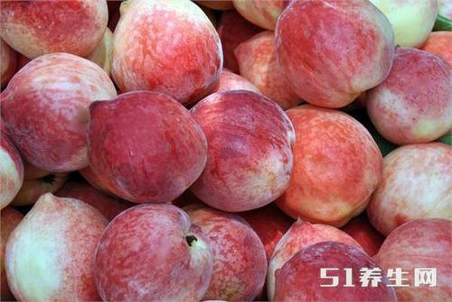 古人讲的桃养人,杏伤人,李子树下埋死人这句