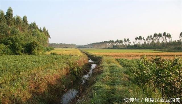  【六十岁】农村承包地期限又延长30年，有些人直到五六十岁都没