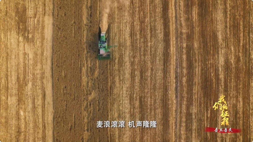  「创造奇迹」中国碗里装满中国粮！看，这片神奇的土地如何创造