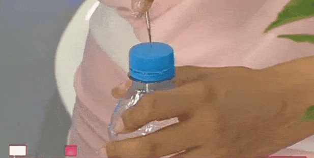  【干净的塑料】发现了一种“养花神器”——塑料瓶
