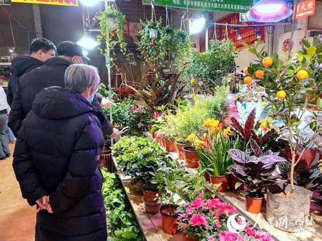  【长春市】长春市：“寒冬”已去“暖春”已来