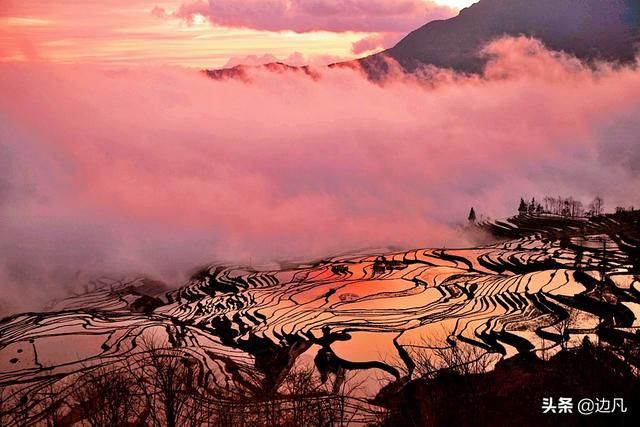 《云南风光》多依树梯田，壮美秀丽，如梦如幻的人间仙境！