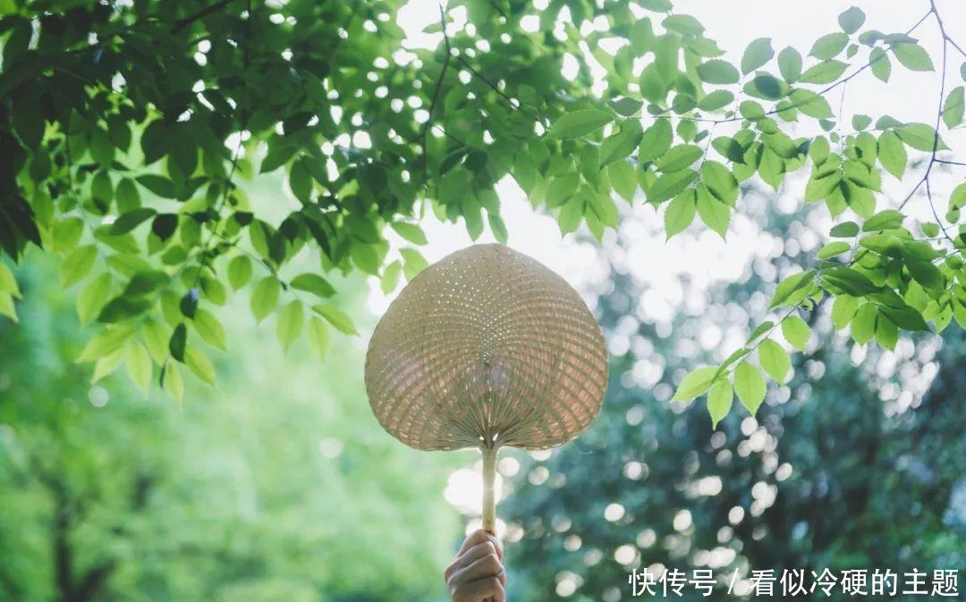 十首大暑诗词:何以销烦暑,诗中寻清风