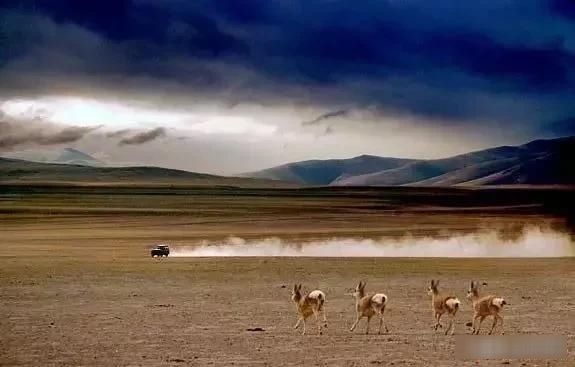  『绝美』中国神秘壮阔最美四大无人区，人迹罕至却景色绝美，你敢去吗？