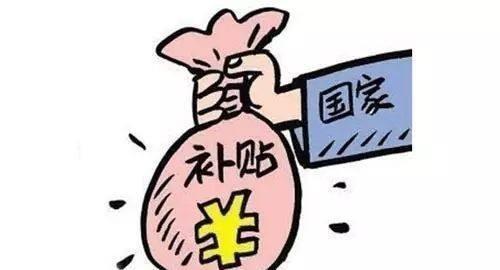 农民种树不种粮？好好的耕地，只能种上树，农民也表示很无奈！