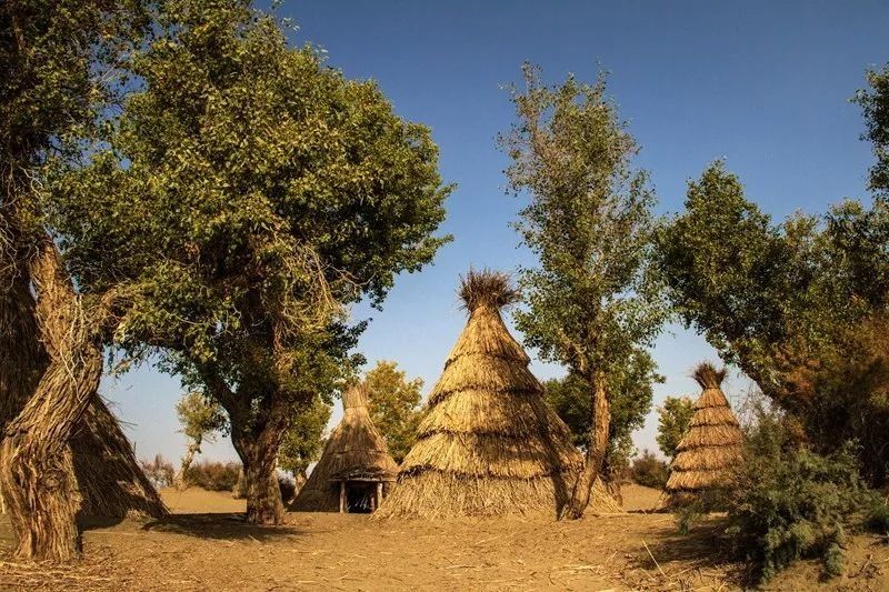 惊艳了世界的罗布泊消失之后,罗布人是如何生存的?