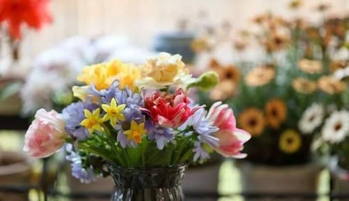  花草：别嫌阳台小，种点花草，感觉真好！