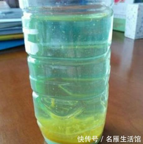  油绿@绿萝、吊兰、文竹总黄叶，用上2种“药片”，叶子油绿，突突长！