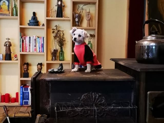 行走川藏线走西藏，看藏区家庭宾馆是啥样，内地人也应学习