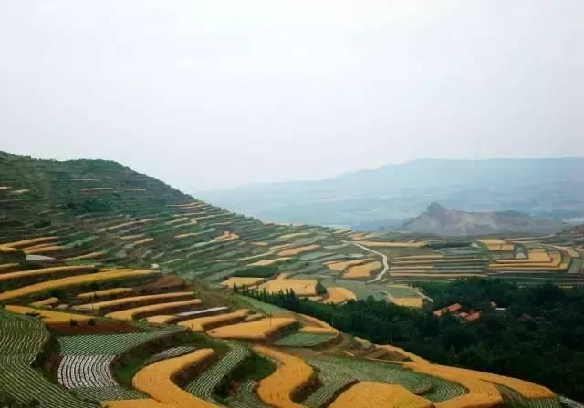 山东这些古村落，惊艳了全中国