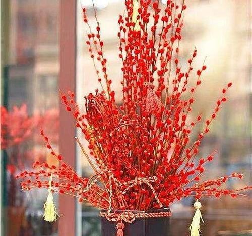  鸿运当头：10种花，家里至少摆1盆，寓意吉祥，还特有面儿！