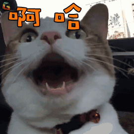 权威发布！网传“地沟油视频”真相是……