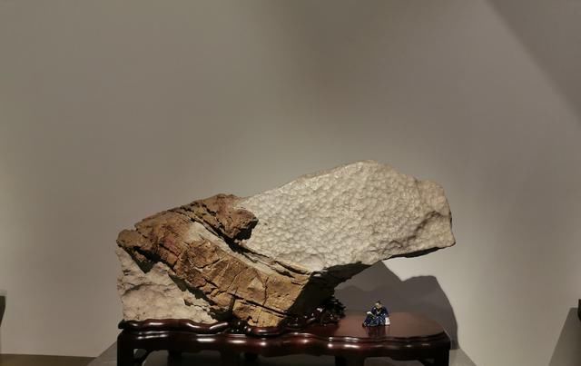 苏州太湖水石艺术馆开馆，最美太湖水石在这里