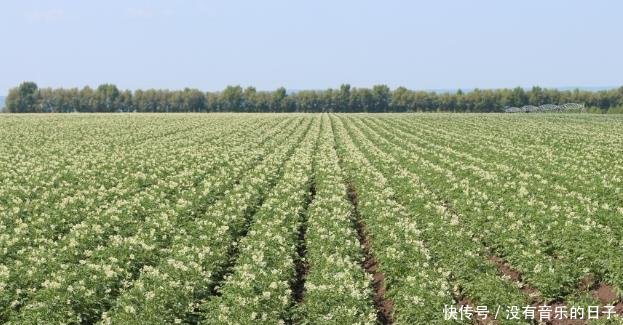  农民@未来10到20年，农民这些会变得很值钱，房子车子将会贬值