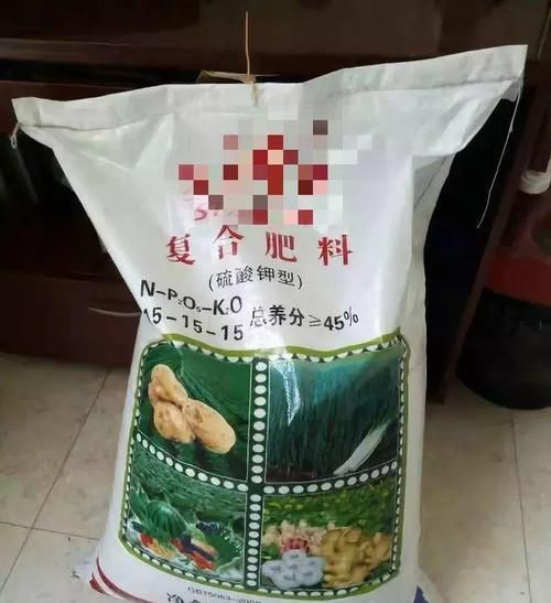  「抗冻」给花喂点抗冻肥，叶子又肥又绿，越长越有劲儿！