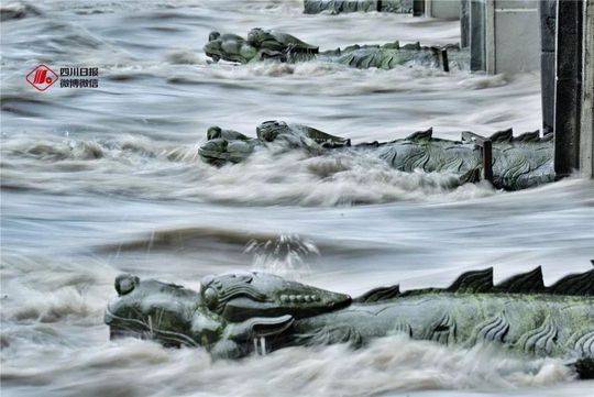 辟谣!鳄鱼逃跑、大桥被淹、美女被救…都是假的!这些信息才是真的