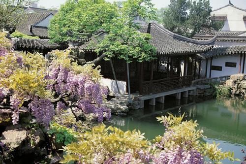  『院子里』中国人的院子，四时安好，这才是我想要的生活