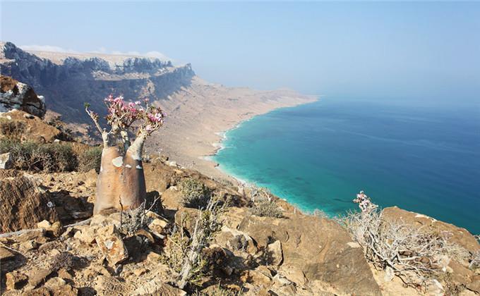 亚洲最值钱的岛屿,与世隔绝千万年,岛上的花鸟鱼虫价值连城