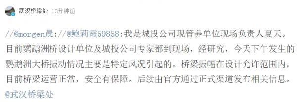  『晃动』武汉鹦鹉洲长江大桥晃动如波浪？权威回应来了