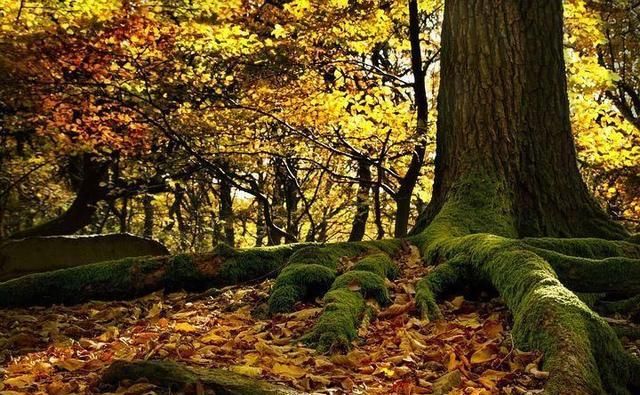 比青岛慢,比厦门小清新,广东这座小城不出名却是拍照胜地