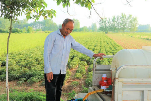 有种农作物曾经亩收入上万，一农民冒险种植六亩，最终结果如何？