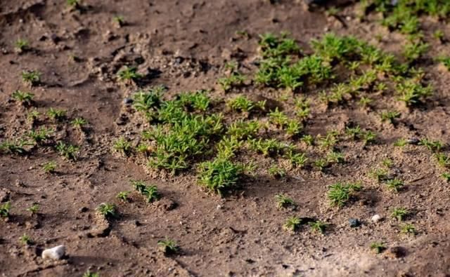 来敦煌的14件事，你体验了几件？