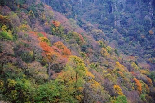 陕西国庆最冷清景点，是5A级景区，还是长江与黄河的分水岭！